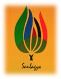 saubhagya2
